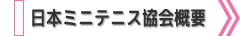 日本ミニテニス協会概要